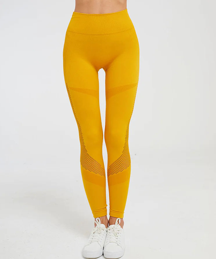 Women’s Seamless Training Leggings – Gym & Yoga