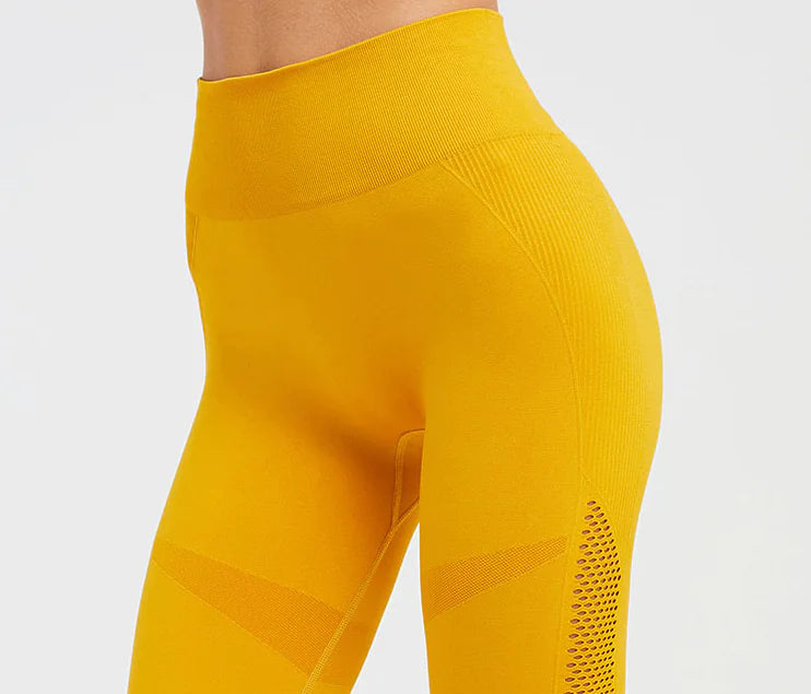 Women’s Seamless Training Leggings – Gym & Yoga