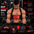 AceFindz Fitness Bicep Training Board front view during dumbbell curls